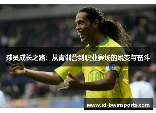 球员成长之路：从青训营到职业赛场的蜕变与奋斗