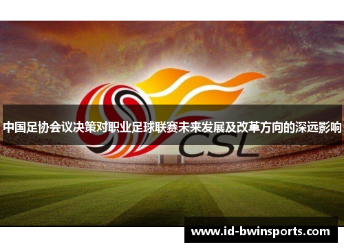 中国足协会议决策对职业足球联赛未来发展及改革方向的深远影响