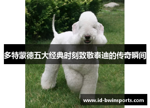 多特蒙德五大经典时刻致敬泰迪的传奇瞬间